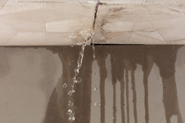 Professional Flood Damage Cleanup technician working in Rock Rapids, IA